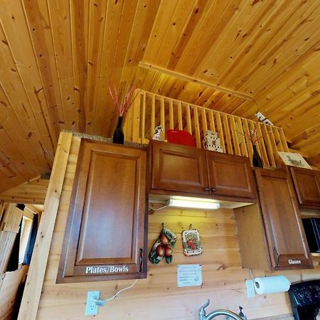 White Pine Cabin By Canyonlands Lodging Monticello Dış mekan fotoğraf