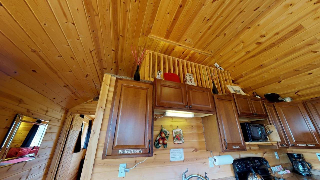 White Pine Cabin By Canyonlands Lodging Monticello Dış mekan fotoğraf